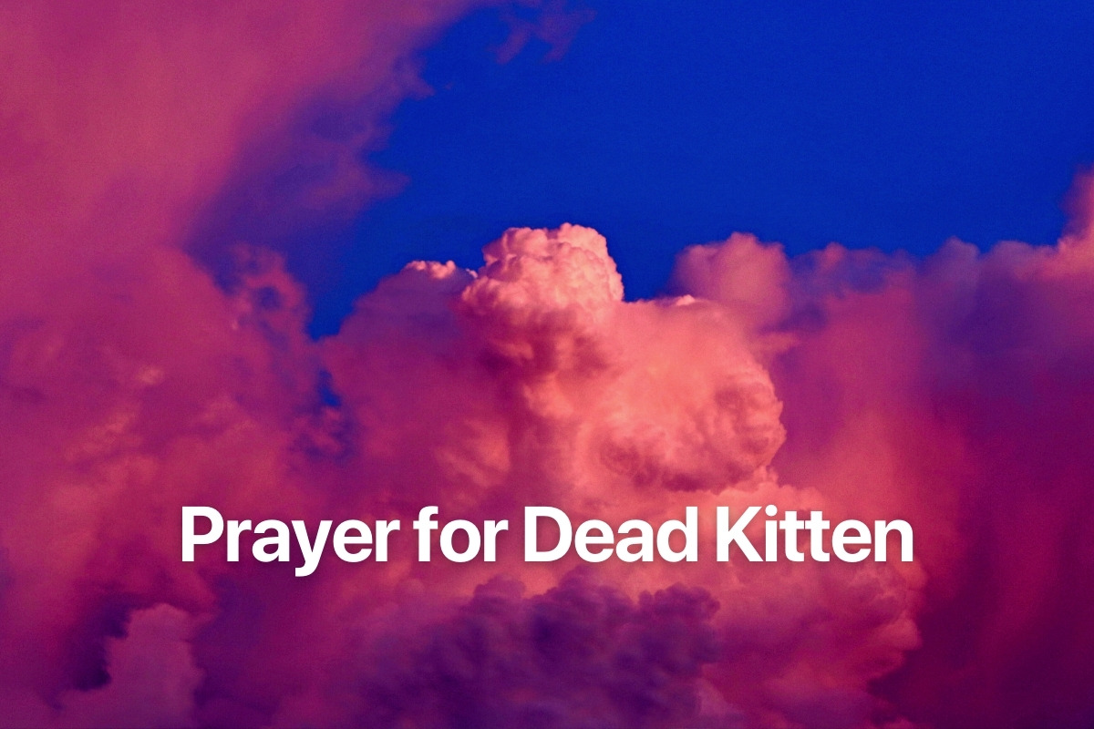 Prayer for Dead Kitten