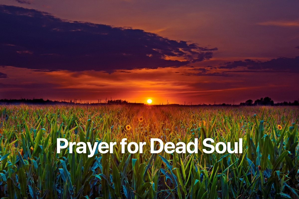 Prayer for Dead Soul