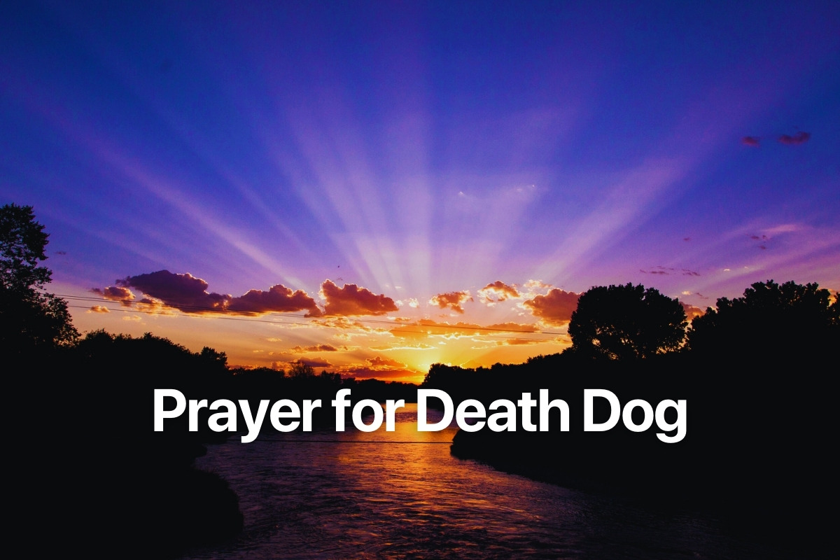 Prayer for Death Dog