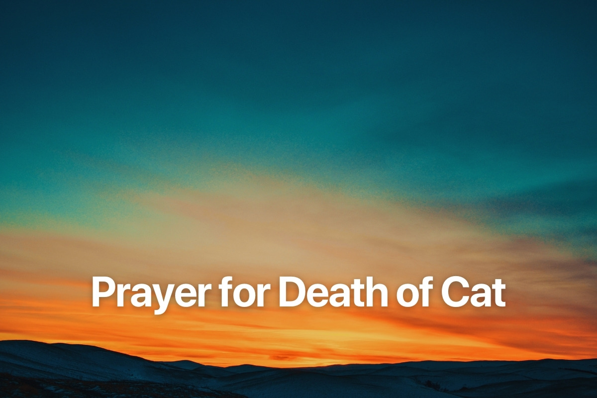 Prayer for Death of Cat