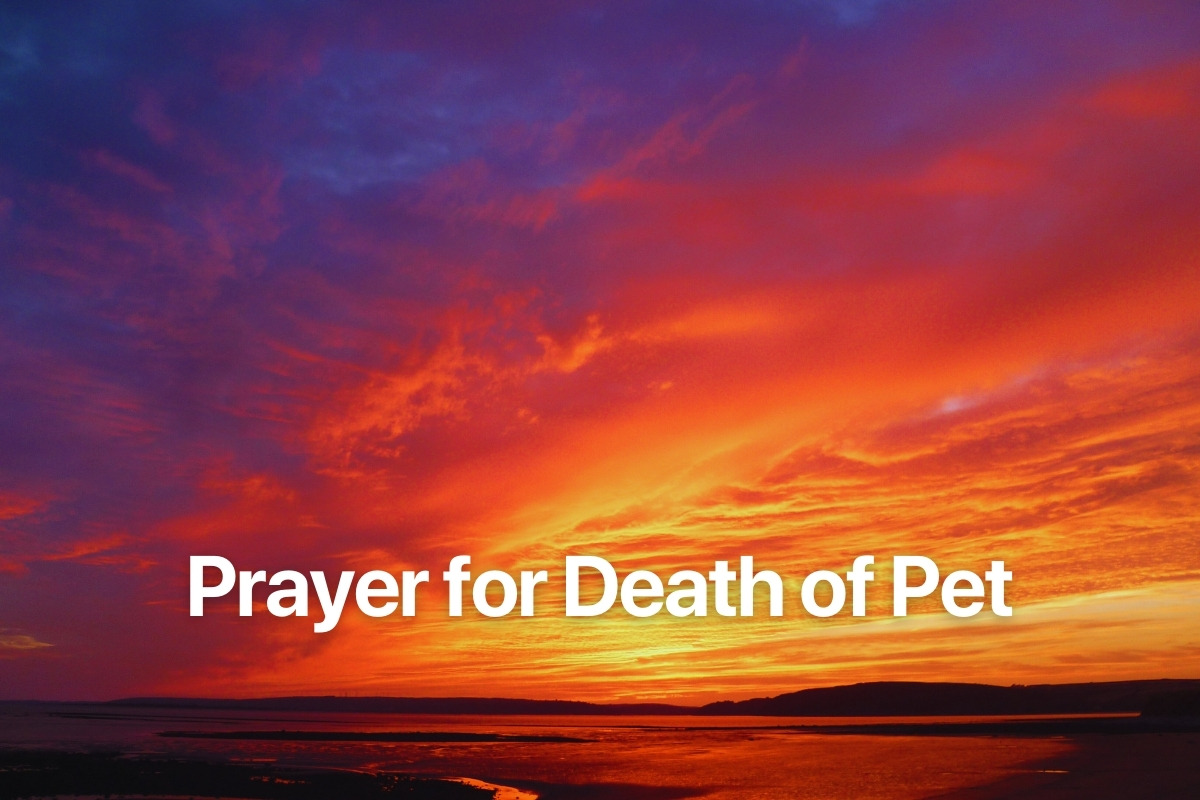 Prayer for Death of Pet