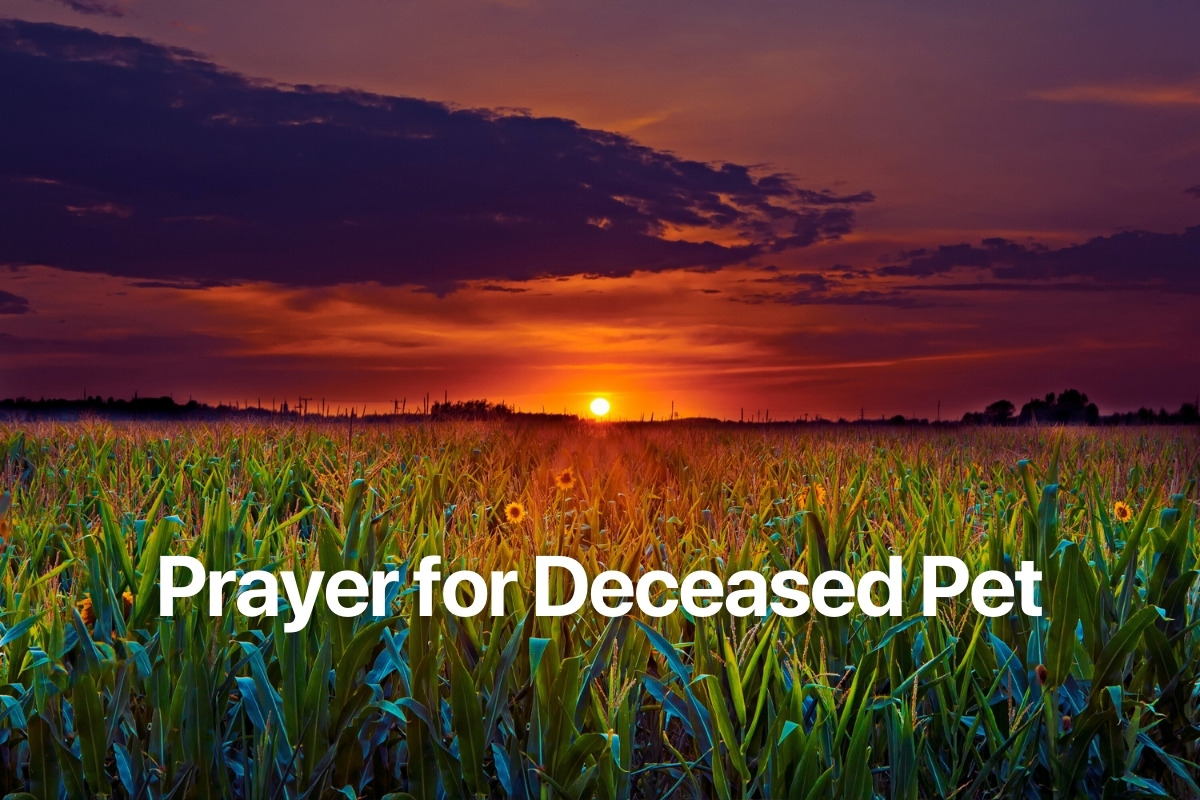 Prayer for Deceased Pet