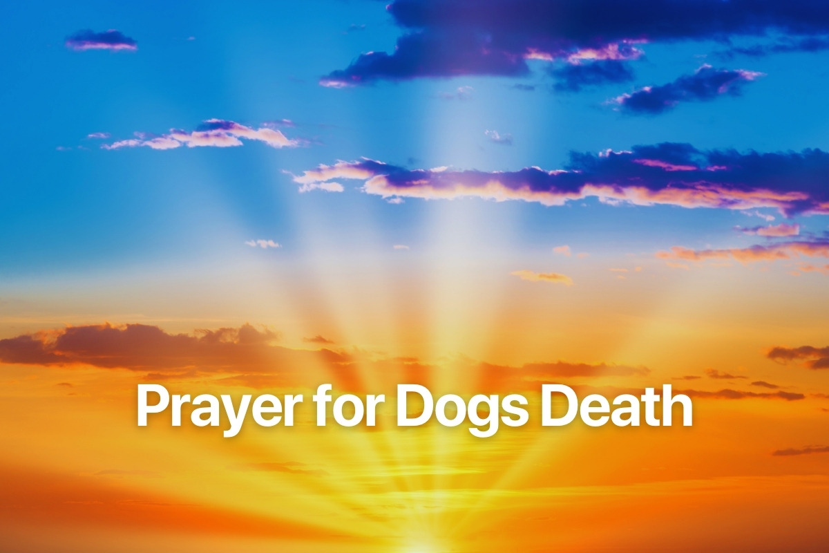 Prayer for Dogs Death